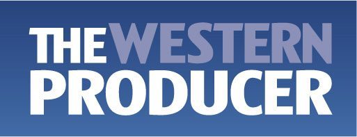 wp-2010-flag-final1
