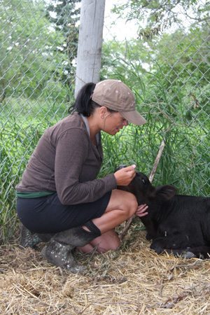 Shawnda Heise cares for orphaned calf. | Brian Cross photo