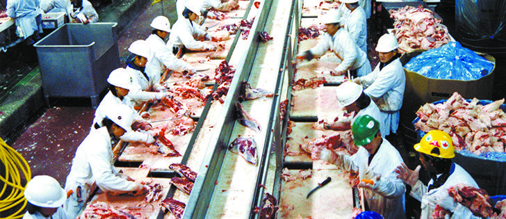 Food Poisoning Challenges For Food Processors Food Poisoning Challenges For Food Processors