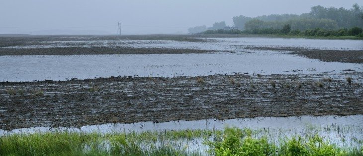 Flash flooding hits east of Yorkton, Sask. on Hwy 15, June 30, 2014.  |  Robin Booker photo