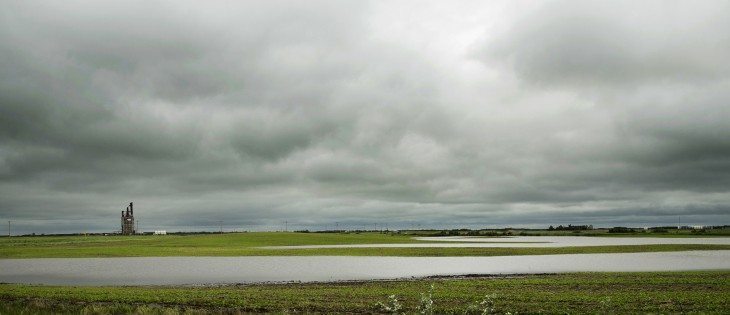 Water has collected on a canola field near Vitera terminal 5 Km. east of Waldron. | Robin Booker photo