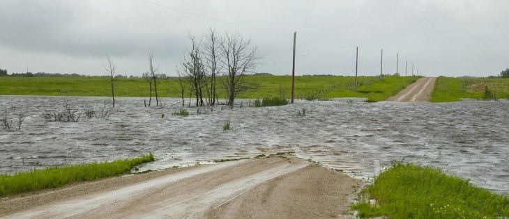 Heavy rains have flooded large areas of farmland. Approximately 3 km west of Leross, a grid road is underwater on the north side of the highway. | Robin Booker photo