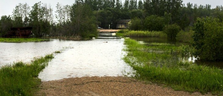 Flood water run over the lane of a farm south of Foam Lake, Sask.  |  Robin Booker photo