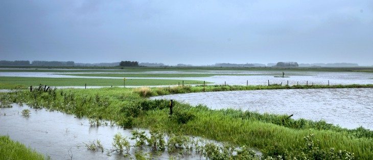 Flash flooding hits east of Yorkton, Sask. on Hwy 15, June 30, 2014.  |  Robin Booker photo