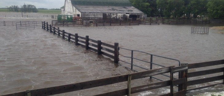 Redvers, Sask., didn't used to be lakefront property. Heavy rains met saturted soil and the combination has created lakes in southeastern Saskatchewan. | Shawna Sandborn photo