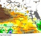 This Agriculture Canada map show a week of rain to Tuesday. Click on Thumbnail map to see all of the Prairies