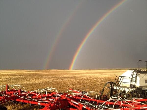 Brendan Miller @Brendan Miller @The Western Producer Double rainbows mean big yields!!! #raindelay #rockhaven #plant14