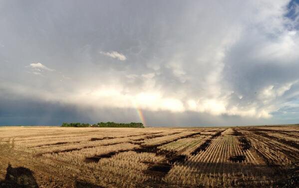Mike Raine @MikeJRaine Nice night for seeding. Too bad it's June. @The Western Producer #westcdnag #ontag #agchat