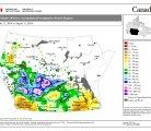 Its getting dry in parts of Alberta and Manitoba. Click on thumbnail image for full map.