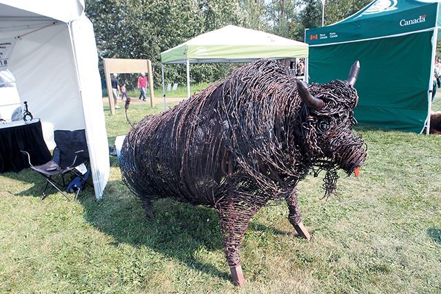 Kevin Penney of Strathmore, Alta., honours the burly animal with a statue made from scrap and barbed wire. | Mary MacArthur, photo.
