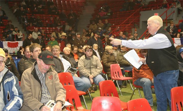 Ring man Craig Flewelling coaxes a few extra dollars from bidders at the Angus Masterpiece sale held during Canadian Western Agribition in Regina Nov. 26. Forty-five lots were on offer, and the high seller was a $31,000 opportunity for the buyer to pick his choice of a bull or heifer calf sired by Wiwa Creek Rush Lake 71'12 from Stauffer Ranches at Pincher Creek, Alta. The winning bid was Bar 4A Ranch of Grande Prairie, Alta.| Barbara Duckworth photo
