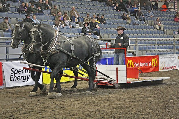 Ryan Ewen, of Lumsden, Sask., competes in the water race at Canadian Western Agribition. | Karen Briere photo