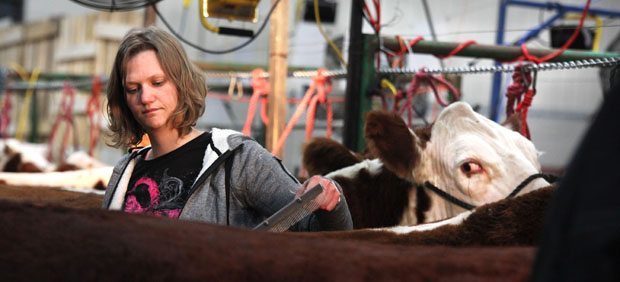 Got his eye on her cause she's tough enough to wear pink at Agribition. Amanda Pangburn of St. Anthony, Idaho, personifies the ‘support breast cancer research message’ that is being worn by agricultural and rural folks all over North America. The Tough Enough to Wear Pink clothing is found on the backs, and fronts, of rodeo and livestock has found supporting sponsors including National Finals Rodeo and Wrangler Jeans. Pangburn was fitting cattle for Hirsche Herefords and Angus of High River, Alberta. | Michael Raine photo