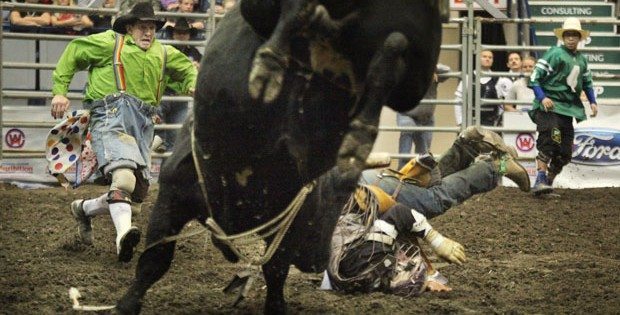 Kory Glinnis of Grenfell, Sask., takes a no-ride on his second last bull ride, before he retires after 17 years in on bulls' backs. He was competing at the Canadian Cowboys Association Finals during Agribition in Regina. | Michael Raine photo