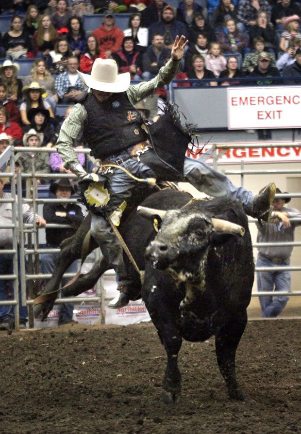 Flint Vayro rides Hand Burner, but not long enough, at the Canadian Cowboys' Assocation Finals Rodeo at Agribition in Regina, Sask. | Michael Raine photo