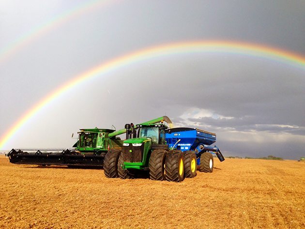 Smithville farms from Eyebrow, Sask. Combining peas while it was raining all around us! Left the brightest rainbow I had ever seen! Kyle Smith (combine) picture taken by Carter Smith