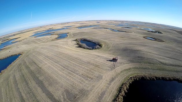 Trevor Thoms Nothing but water around here... Spraying time — with Michelle Lepage in Meacham, Saskatchewan.
