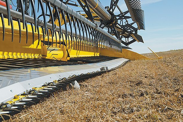 The cutter bar flexes separately from the draper units and knives are set very low, so it can cut very short crops or those podded well down on the plants without a high angle of attack. | Honey Bee photo