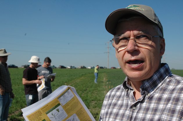 Alberta Agriculture crop researcher Doon Pauly explains the layout of research plots during a crop walk June 11 south of Coaldale, Alta. | Barb Glen photo