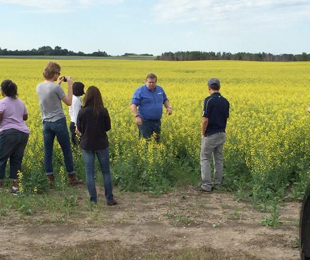 Kicking off CWB crop tour 2015 wth Bruce Burnett. Checking out canola near Saskatoon. | Brian Cross photo