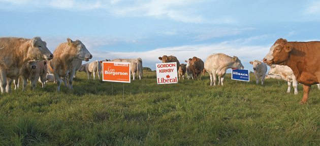 Experts predict rural voters will remain loyal to the Conservative party this election. | William DeKay photo illustration