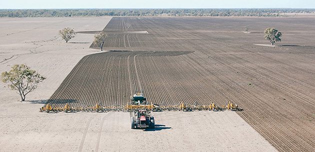 Multi Farming Systems builds complete machines up to 160 feet wide. This one is fed by a single Simplicity cart. | Multi Farming Systems photo.