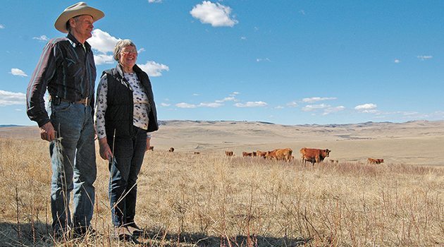 Jack and Merry Vandervalk observe the cow herd on the ranch west of Claresholm, Alta. The family operation won the 2016 Environmental Stewardship Award from Alberta Beef Producers. | Barb Glen photo