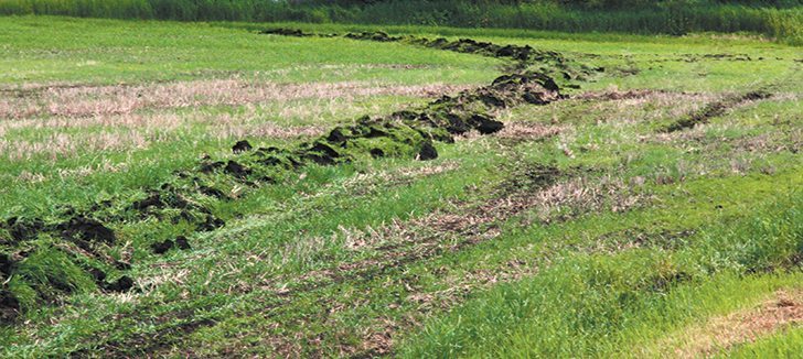 Freshly laid tile leaves a telltale sign. A packer rolls the scar flat. | file photo