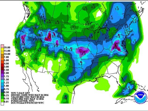7-day forecast