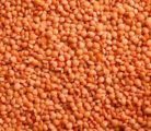 Red Lentils