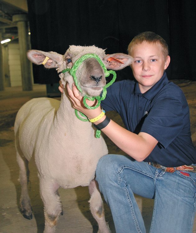 Ten-year veteran Lane Woods of Blackie, Alta., a member of the Foothills 4-H Sheep and Multi Club, won the grand champion market lamb. | Barbara Duckworth photo