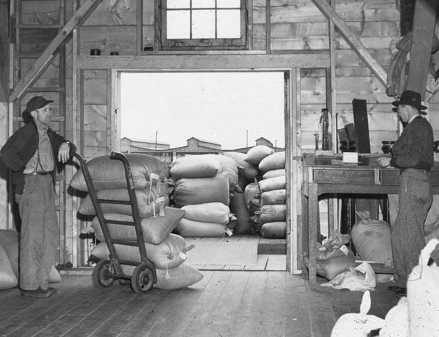 Four of the grain elevators in Inglis, Man., are almost a century old and are a national historic site. | Inglis Area Heritage Committee photo