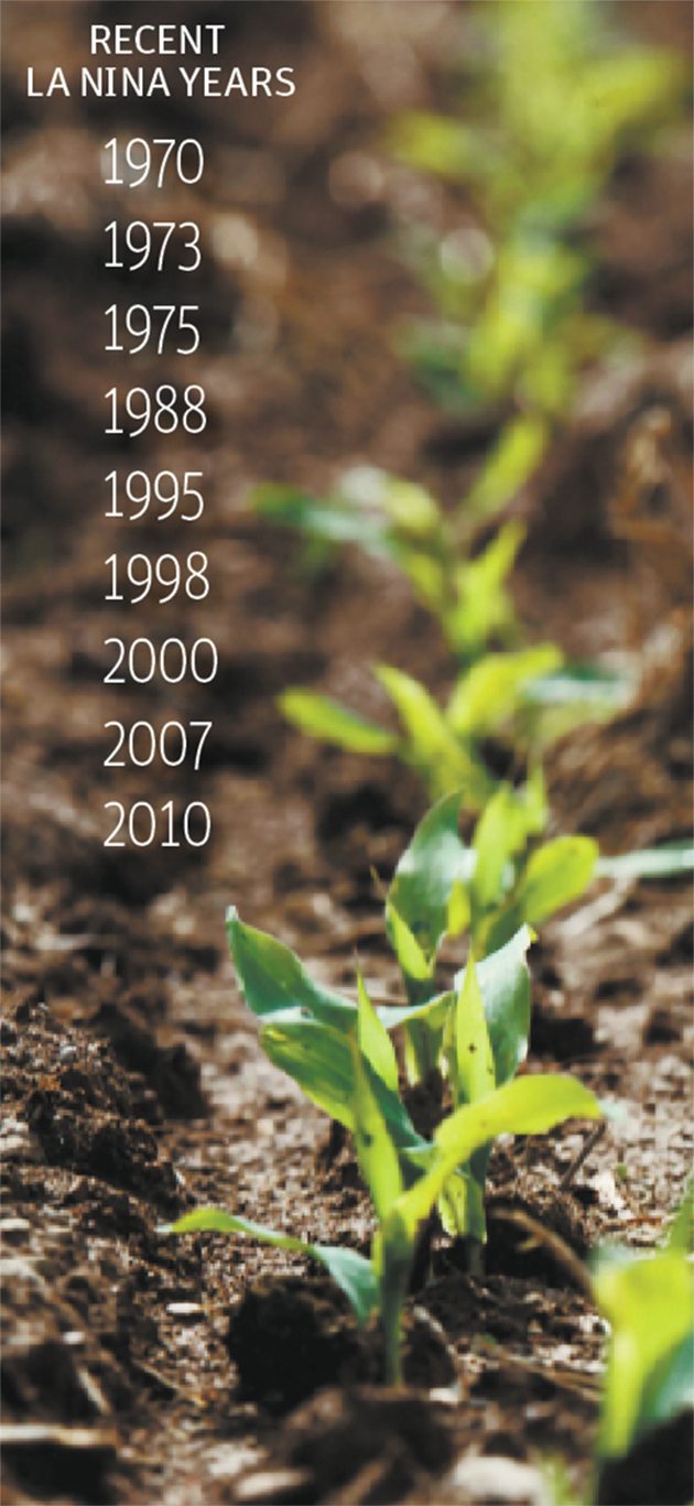 Attention will shift to La Nina’s potential impact on South America’s corn and soybean seeding this fall. Experts say La Nina is not developing fast enough to affect North American crops. | File photo