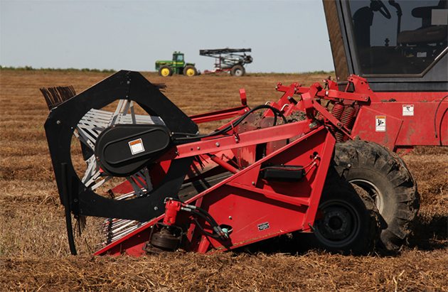 6-LENTIL HARVEST