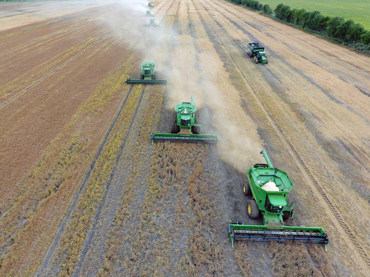  Rhineland, Manitoba #harvest16 shots of some nice #peas. Fun in the mud! #mbag @westernproducer | Cameron Hildebrand ‏@CameronHild photo