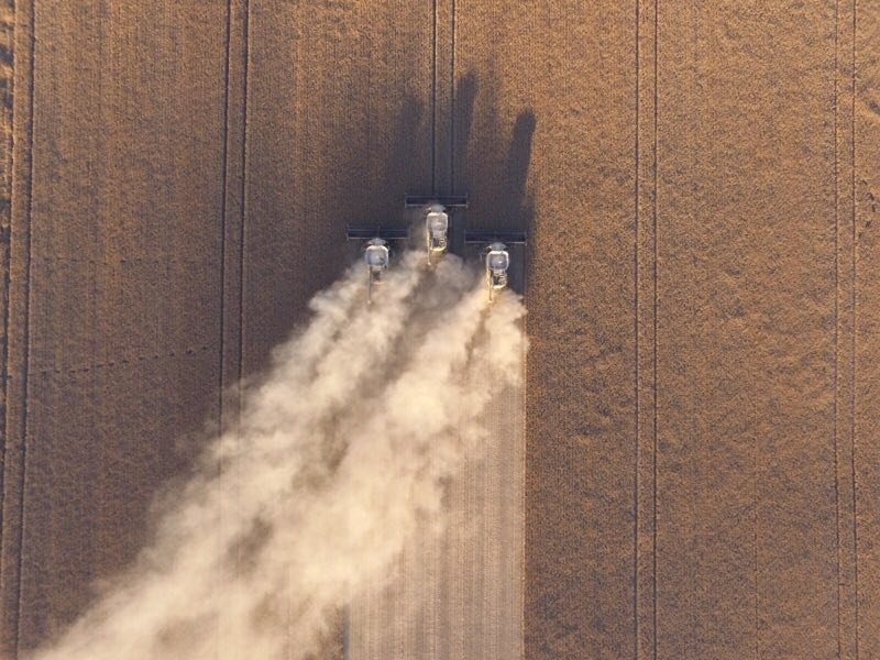 Yellow pea harvest in Perdue Sask. @MoodysEquipment @NewHollandAG @westernproducer @demcoag @Bayer4CropsCA | Matthew Scharf ‏@matthewscharf1