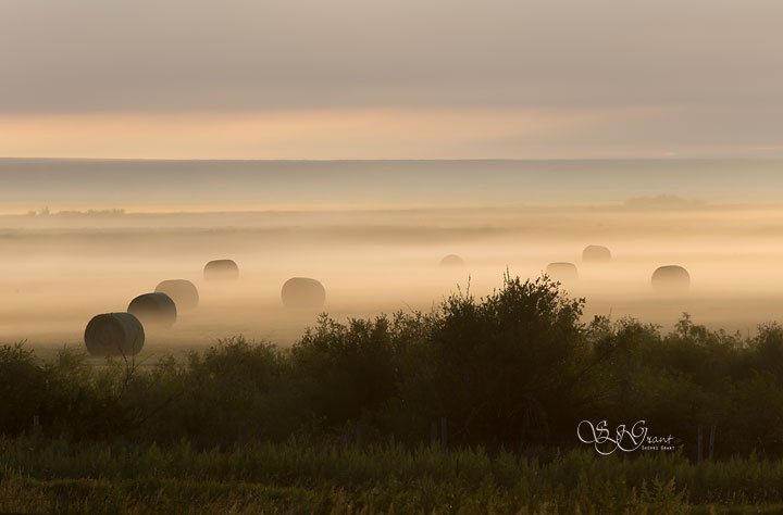 #harvest16 @westernproducer Hay Bales in the early morning mist #ranchlife | Sherri Grant ‏@GrantSherri photo