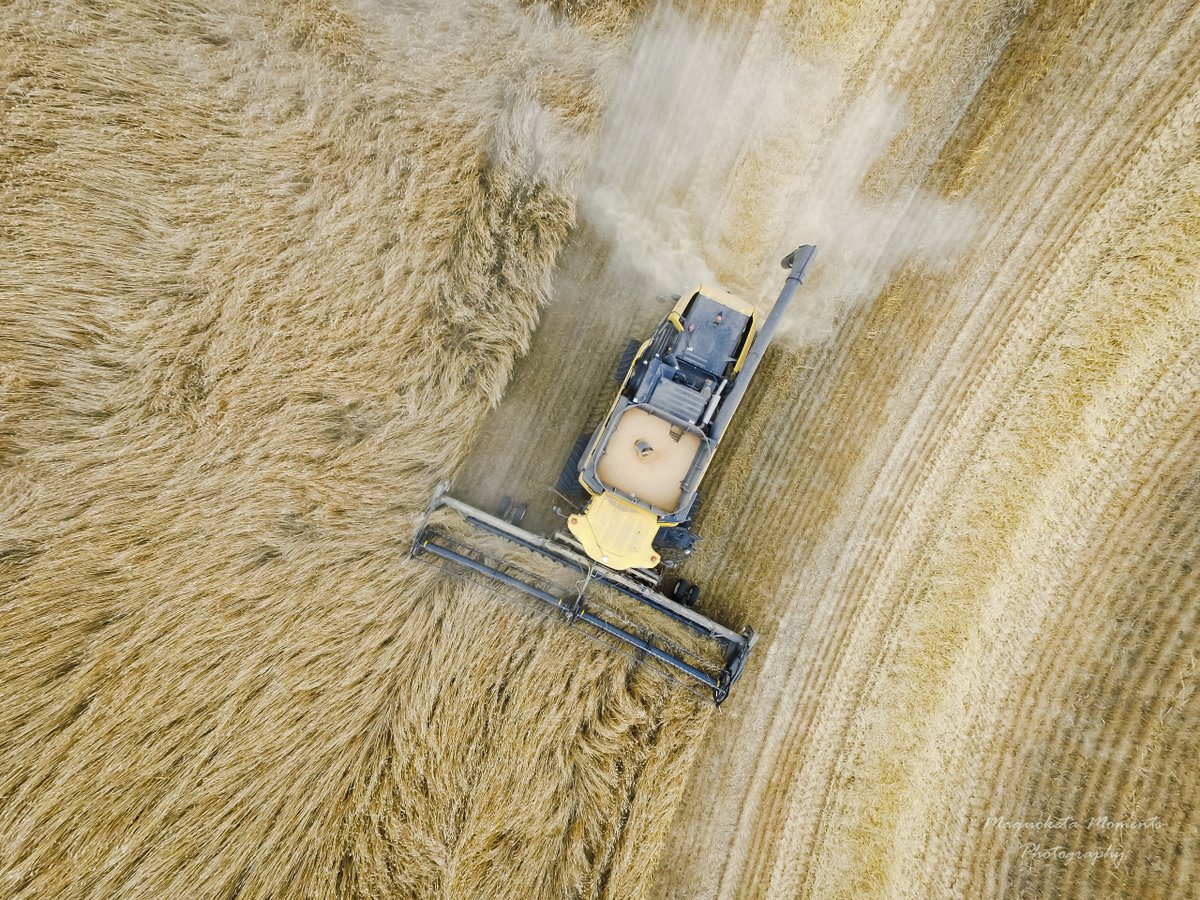 Tammy Thomas@tmthomas7 photo.