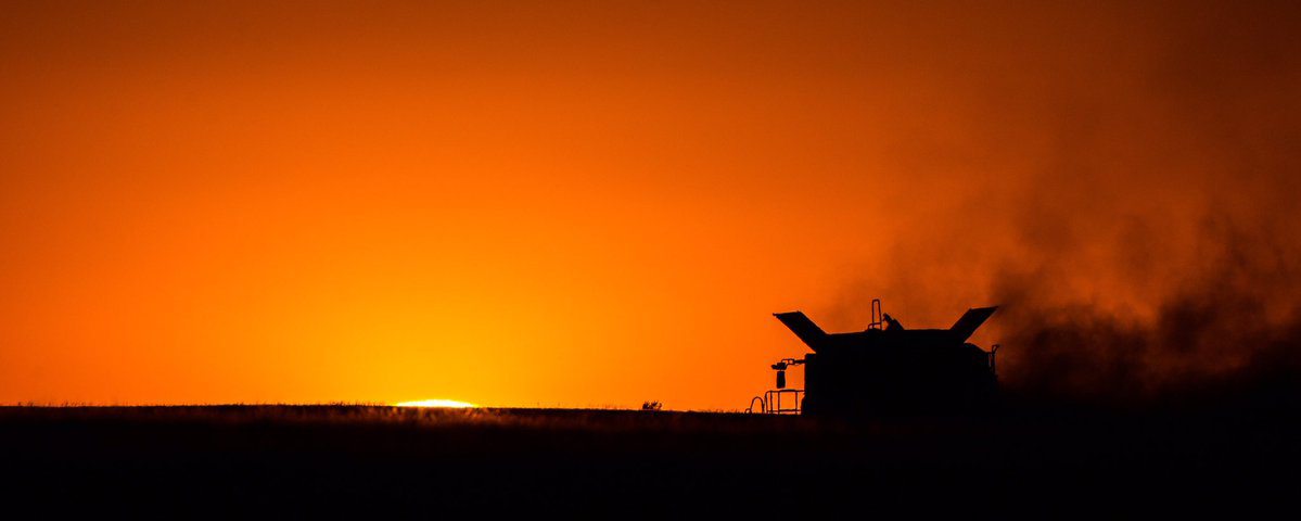 Jordie Braun ‏@JorBraun photo