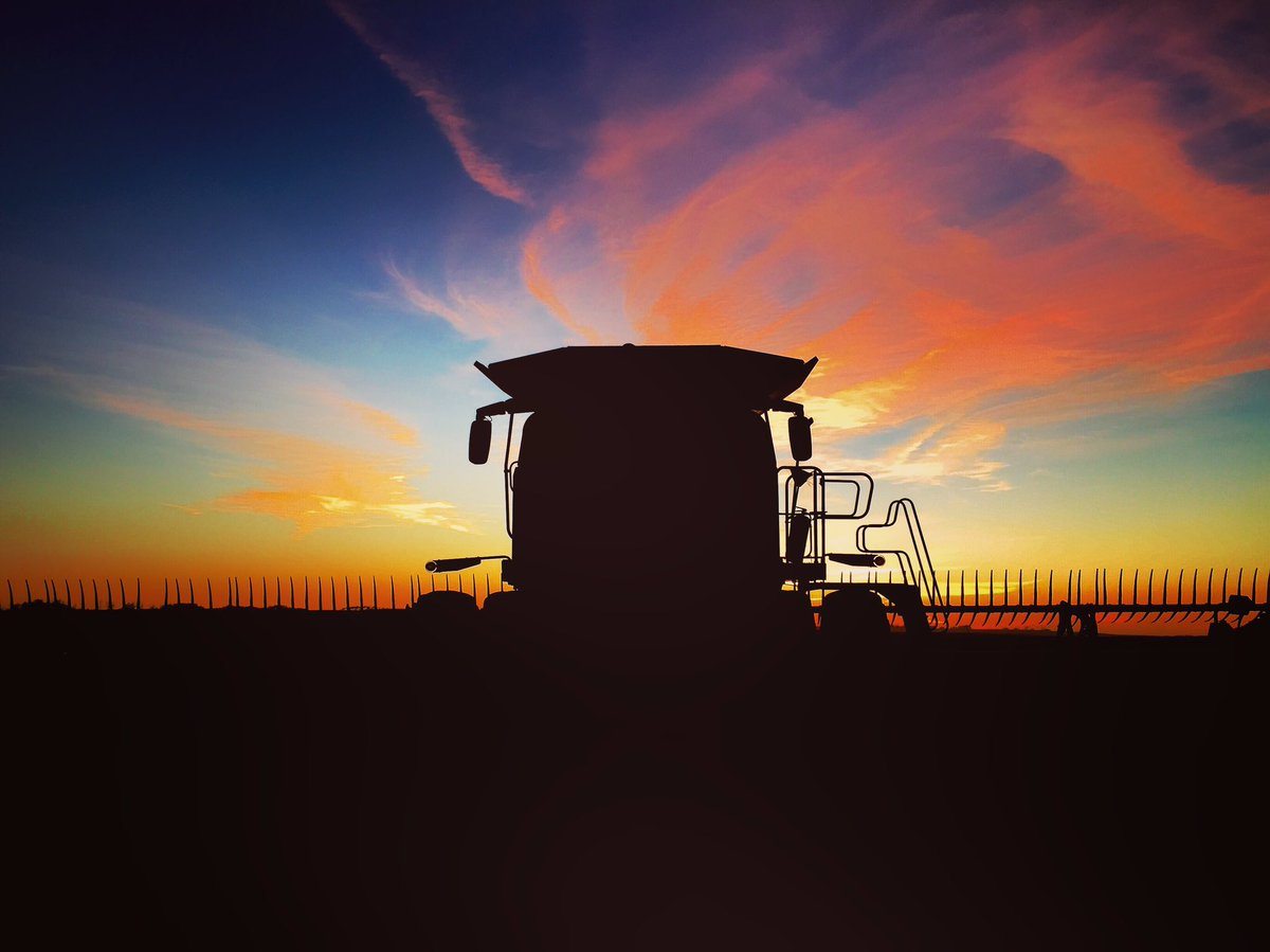 Just before the lights came on ... @westernproducer #harvest16 #Claas #prairiesunset | CSproat ‏@sproat83 