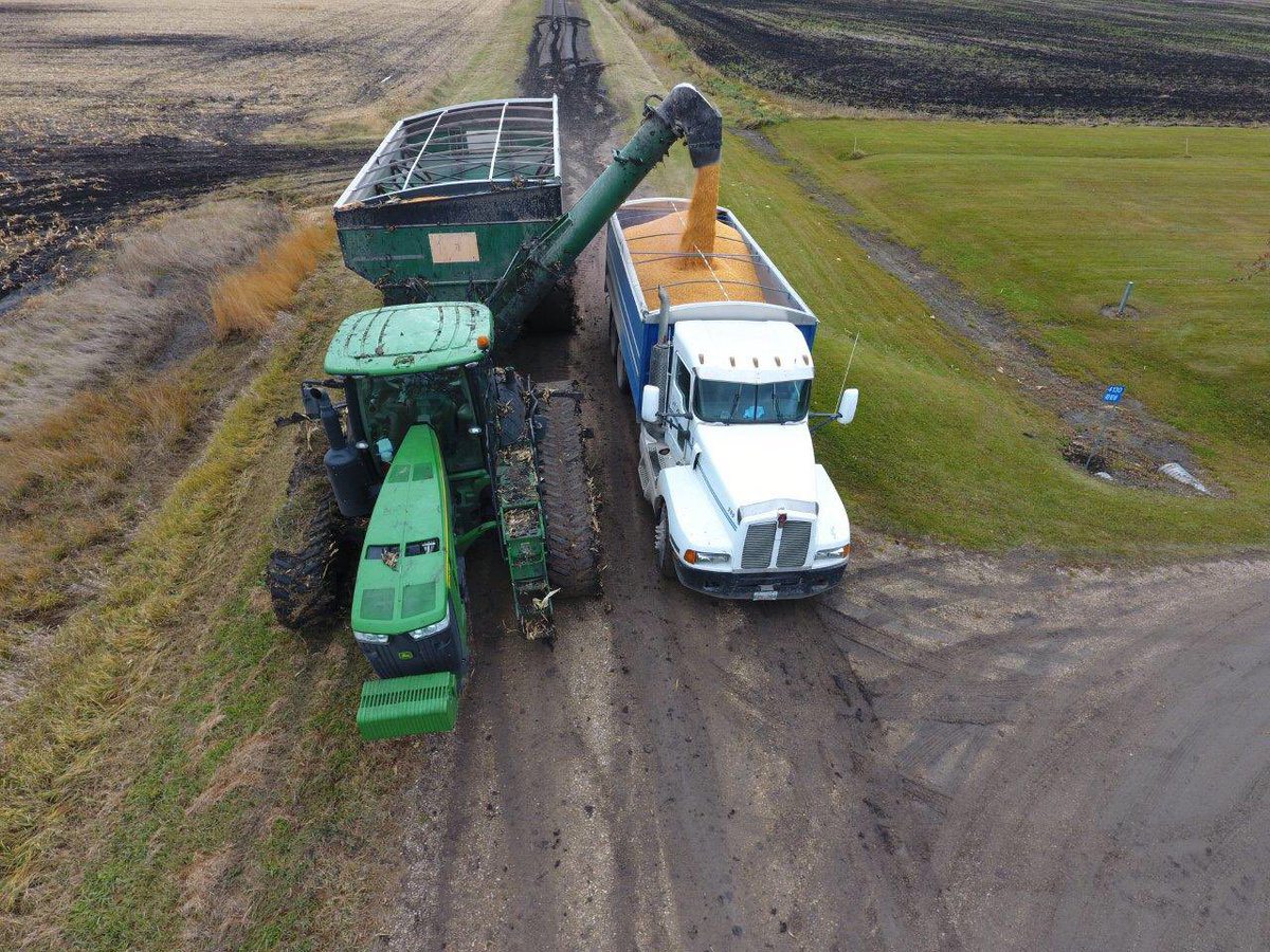 H&M Farms #Corn #mbharvest16 continues. Good to have tracks this year! @MBCornGrowers @westernproducer #mbag #harvest16. | Cameron Hildebrand @CameronHild photo