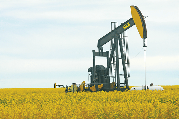 pump-jack-canola
