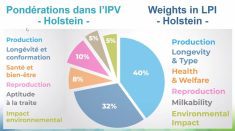 The Lifetime Performance Index is weighted differently among six areas. | Lactanet photo