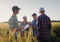 An older farmer talks with three younger farmers in a wheat field.