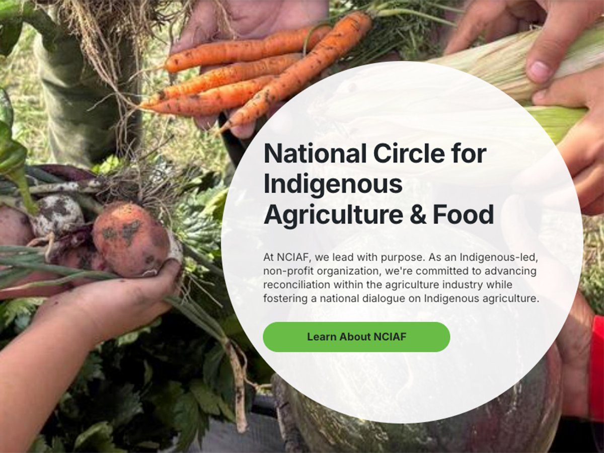 A screencap of the National Circle for Indigenous Agriculture and Food homepage showing several pairs of hands holding a variety of vegetables, some with dirt still on them.