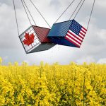 A graphic of two steel seacans, one painted as a Canadian flag, the other as a U.S. flag, hang from chains and banging together overtop a field of yellow blooming canola.