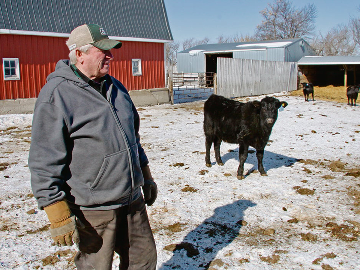 A man in a pen with a lone black cow and a red barn in the background.