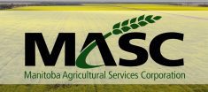 Shoal Lake and Virden will be getting new Manitoba Agricultural Services Corp. (MASC) offices this year, premier Wab Kinew announced last month at Manitoba Ag Days. | Screencap via YouTube.com/@masc_mb