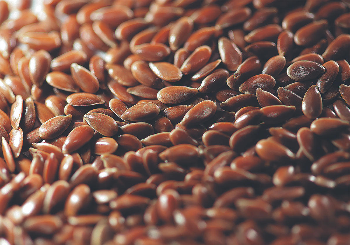 Close-up of flax seeds spread on a table.