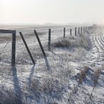 A barbed wire fence runs off into the distance in the winter with crop stubble visible through a thin blanket of snow on both sides of it.